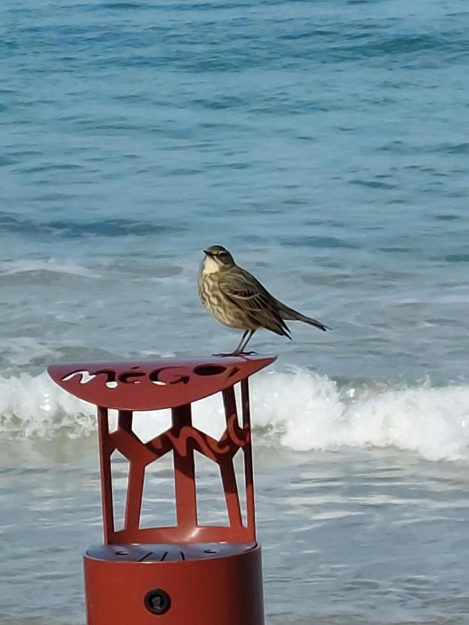 Repos Et Vacances لوكرونان المظهر الخارجي الصورة